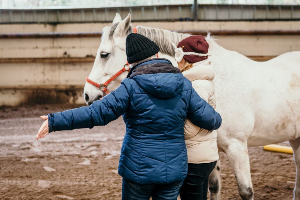 Equicoaching Pays Basque