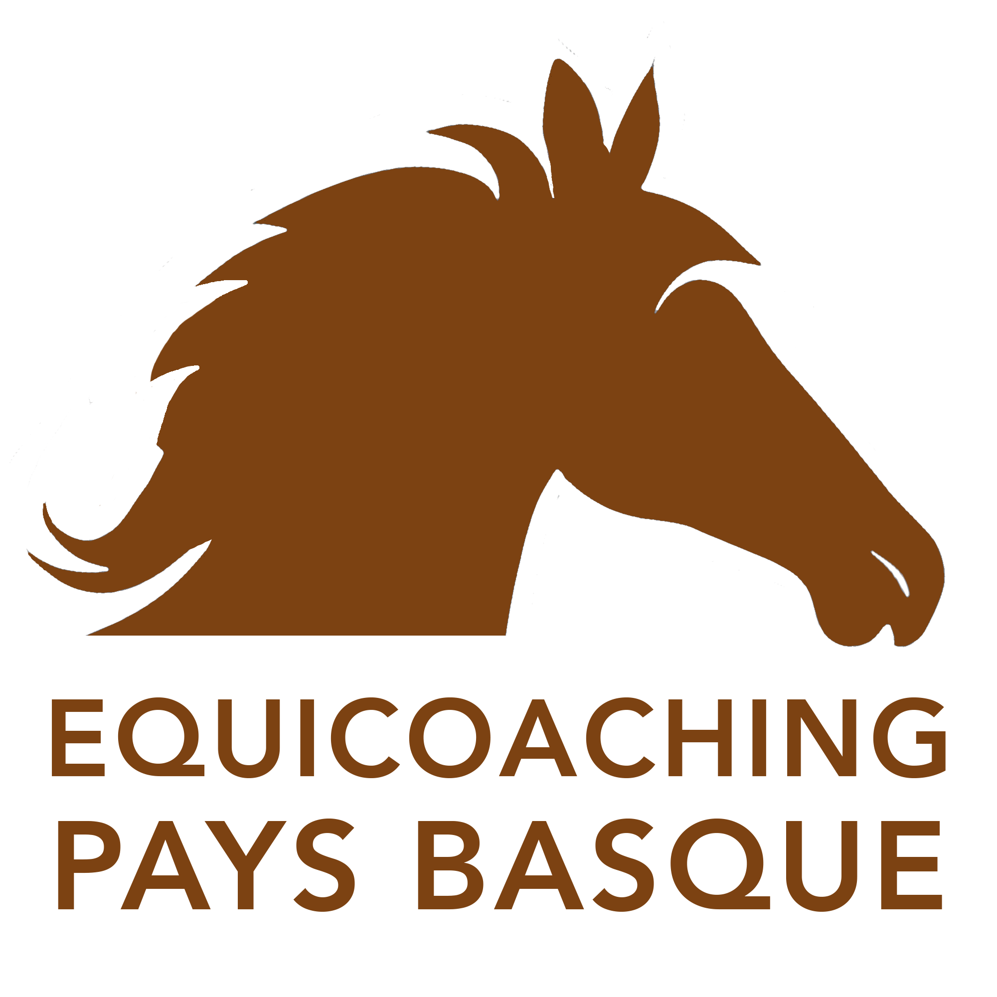 Equicoaching Pays Basque